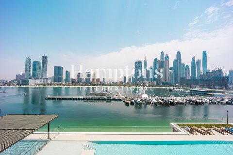2 bedrooms Apartment in Dubai Harbour, UAE No. 156171 20