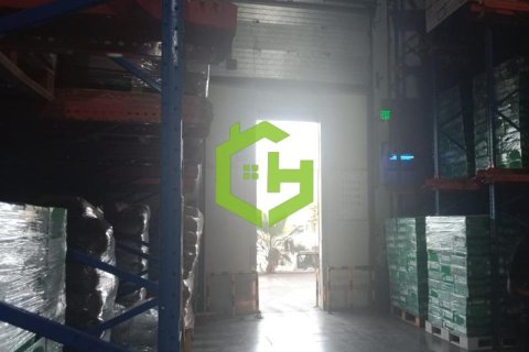 455.2m² Warehouse in Umm Ramool, UAE No. 36258 7