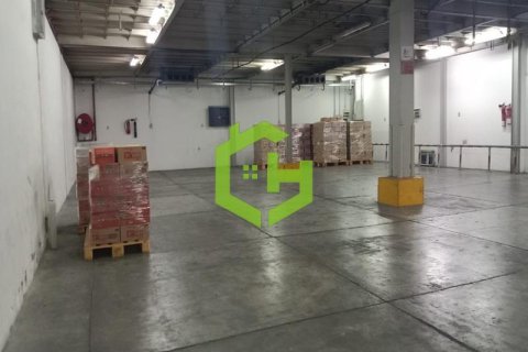 455.2m² Warehouse in Umm Ramool, UAE No. 36258 5