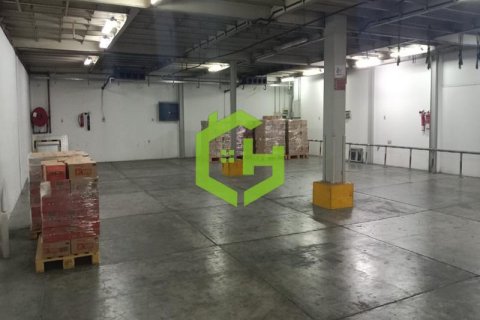 455.2m² Warehouse in Umm Ramool, UAE No. 36258 11