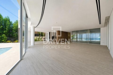 Villa de 2255.04m² en The World Islands, UAE No. 192179 11