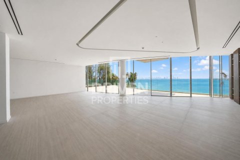 Villa de 2255.04m² en The World Islands, UAE No. 192179 14