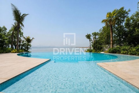 Villa de 2255.04m² en The World Islands, UAE No. 192179 4