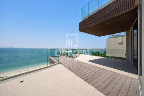Villa de 2255.04m² en The World Islands, UAE No. 192179 8
