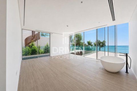 Villa de 2255.04m² en The World Islands, UAE No. 192179 26