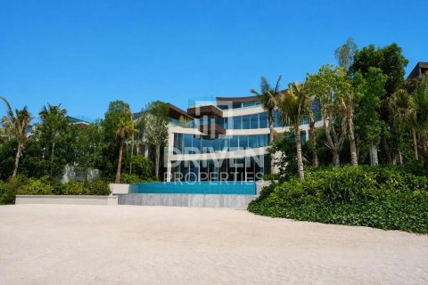 Villa de 2255.04m² en The World Islands, UAE No. 192179 7