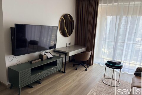 Studio Apartment in Downtown Dubai (Downtown Burj Dubai), UAE No. 194246 13