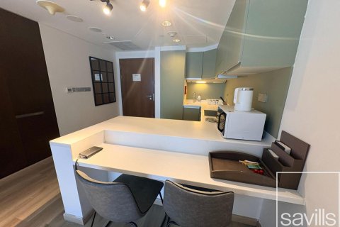 Studio Apartment in Downtown Dubai (Downtown Burj Dubai), UAE No. 194246 18