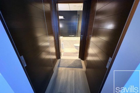 Studio Apartment in Downtown Dubai (Downtown Burj Dubai), UAE No. 194246 6