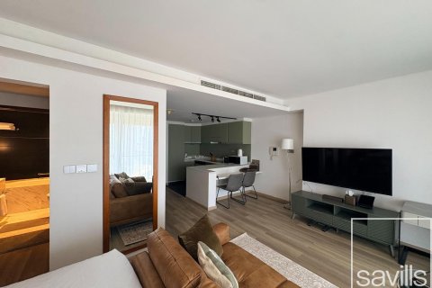 Studio Apartment in Downtown Dubai (Downtown Burj Dubai), UAE No. 194246 16