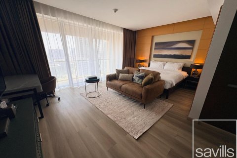 Studio Apartment in Downtown Dubai (Downtown Burj Dubai), UAE No. 194246 17