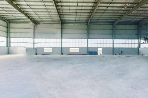Склад 5759.9м² в Phase 2, ОАЭ №47628 9