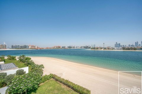 5 غرفة نوم  فيلا في Signature Villas, الإمارات العربية المتحدة رقم 194324 7