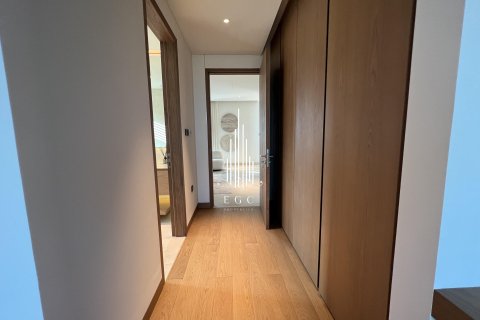 4 bedrooms Villa on the Saadiyat Island, UAE No. 24619 17