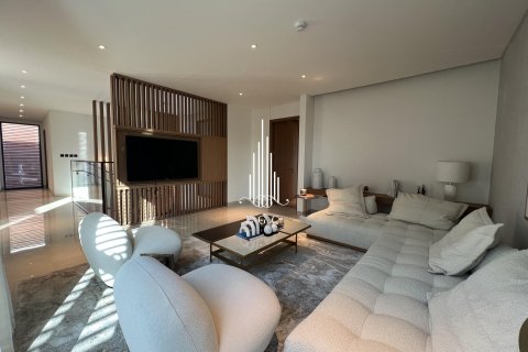 4 bedrooms Villa on the Saadiyat Island, UAE No. 24619 7