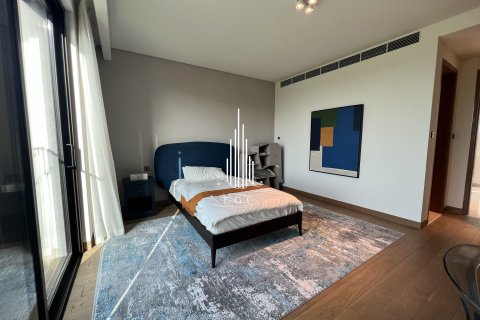 4 bedrooms Villa on the Saadiyat Island, UAE No. 24619 12