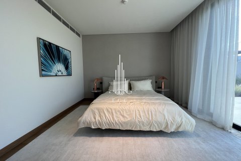 4 bedrooms Villa on the Saadiyat Island, UAE No. 24619 10