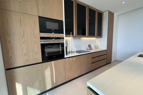 4 bedrooms Villa on the Saadiyat Island, UAE No. 24619 27