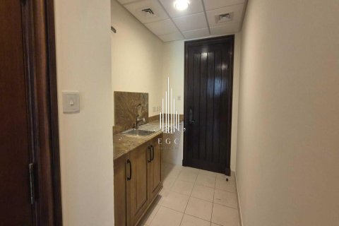 4 bedrooms Villa on the Saadiyat Island, UAE No. 41635 23