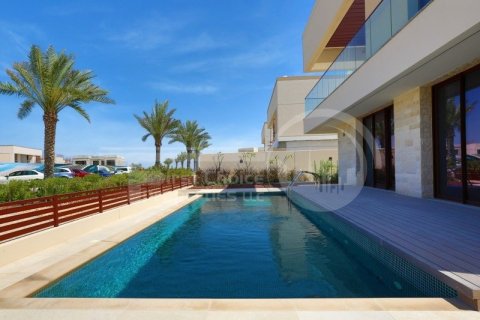 5 bedrooms Villa on the Saadiyat Island, UAE No. 11991 13