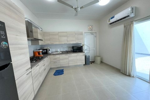 4 bedrooms Villa in Al Dair, Bahrain No. 59556 5
