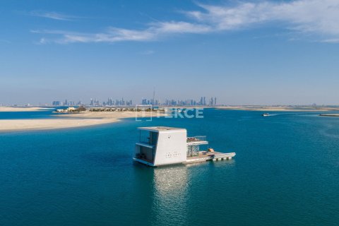 2 bedrooms Villa in The World Islands, UAE No. 10444