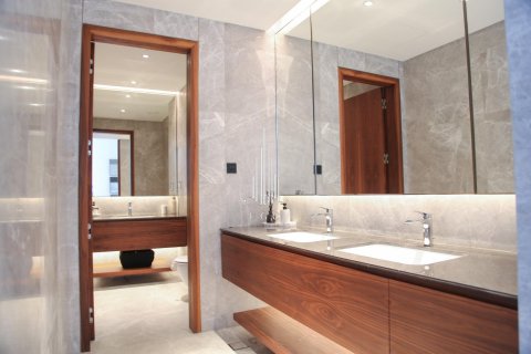 4 bedrooms Villa on the Saadiyat Island, UAE No. 39311 28