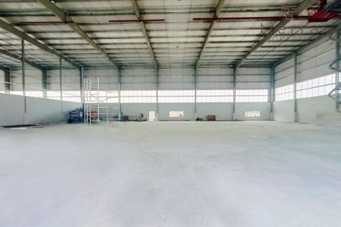 Warehouse de 3850.8m² en Dubai, UAE No. 46604 5