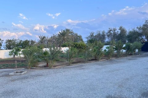 Ferme de 3 chambres à Barka, Oman No. 54740 3