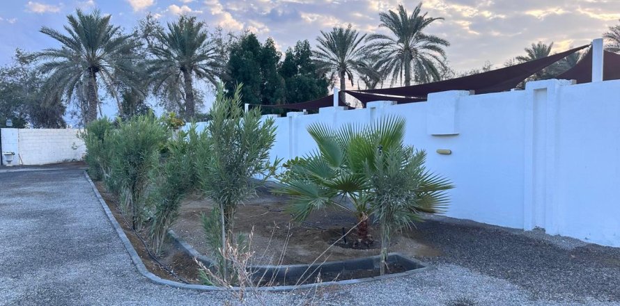 Ferme de 3 chambres à Barka, Oman No. 54740