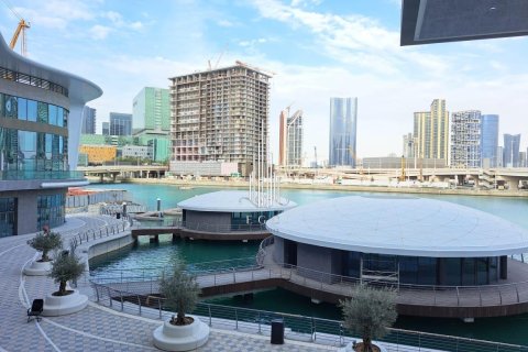 4 bedrooms Townhouse in Tourist Club Area, UAE No. 37451 26
