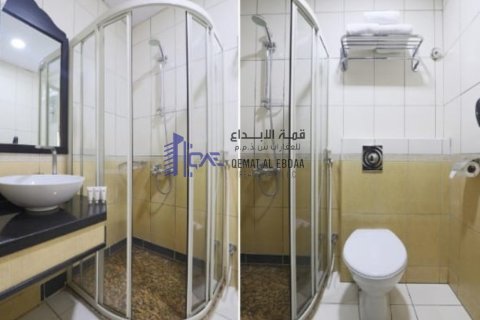 3901.9277m² Properties in Dubai, UAE No. 711 8