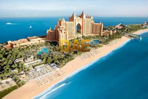 5291.2m² Land in Palm Jumeirah, UAE No. 4578