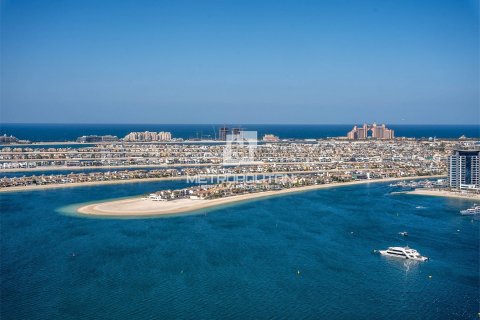 Appartement de 2 chambres à EMAAR Beachfront, UAE No. 77793 13