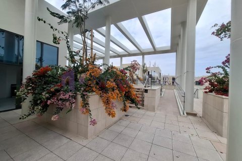Apartment de 1 dormitorio en Doha, Qatar No. 58119 17