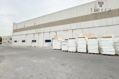 Warehouse de 919.7m² à Dubai, UAE No. 51051 8