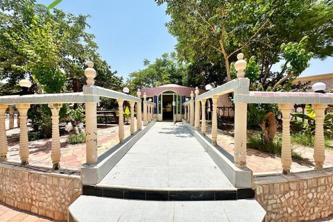 Villa de 10 dormitorios en Seih Al Uraibi, UAE No. 22393 28