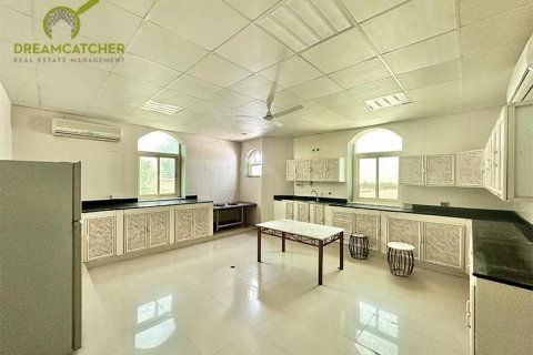 Villa de 10 dormitorios en Seih Al Uraibi, UAE No. 22393 6