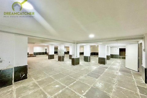 Villa de 10 dormitorios en Seih Al Uraibi, UAE No. 22393 25