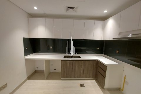 2 bedrooms Apartment in Tourist Club Area, UAE No. 34774 23