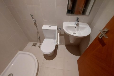 2 bedrooms Apartment in Tourist Club Area, UAE No. 34774 21