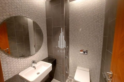2 bedrooms Apartment in Tourist Club Area, UAE No. 34774 20