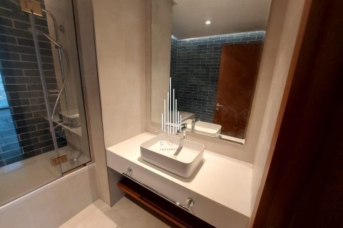 2 bedrooms Apartment in Tourist Club Area, UAE No. 34774 13