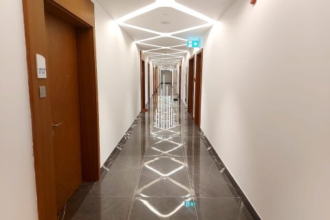 2 bedrooms Apartment in Tourist Club Area, UAE No. 34774 11