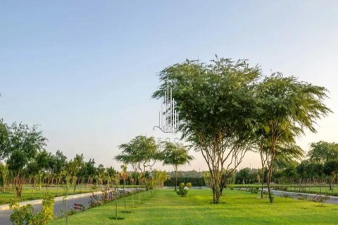 Land de 2393m² en Al Ain, UAE No. 76650 18