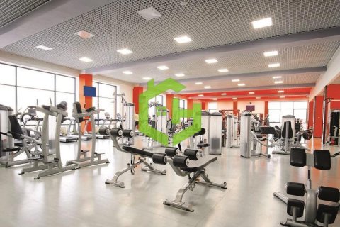 Квартира с 3 спальнями в Dubai Sports City, ОАЭ №23291 13