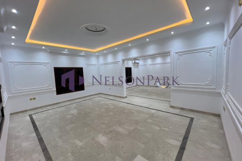 8 غرفة نوم  فيلا في الضعاين, Qatar رقم 57186 10