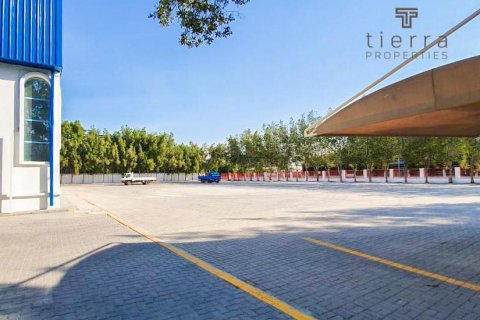 Warehouse de 5945.7m² à Phase 2, UAE No. 48639 6