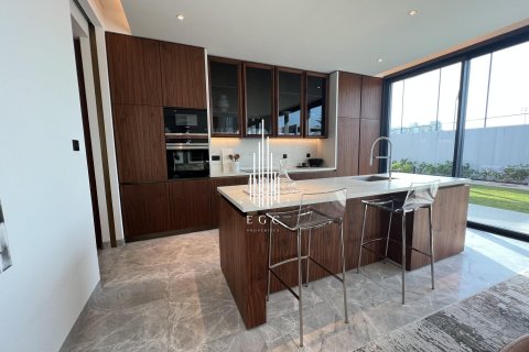 5 bedrooms Villa on the Saadiyat Island, UAE No. 36770 24