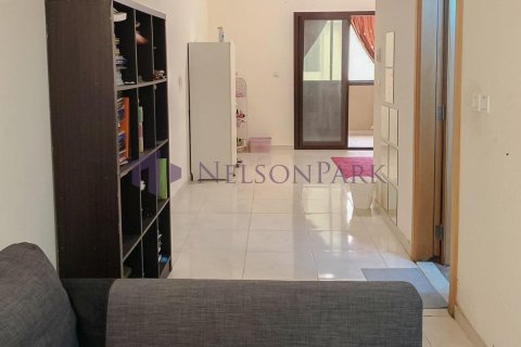 استوديو شقة في لوسيل, Qatar رقم 56880